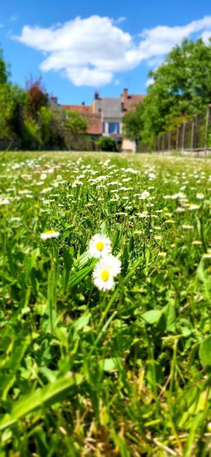 Le Gite Du Nohain Entrains-sur-Nohain Exterior foto